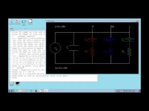 Hodgkin-Huxley Model with MLAB - part 3