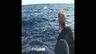 preview picture of video 'Ocean Reef - WAR BIRD 12-29-2007 - Sailfish'