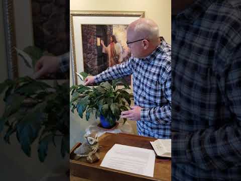 am worship March 15 2020