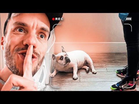 A YUFY NÃO DEIXOU EU ASSUSTAR A CLAUDIA! Família Brancoala