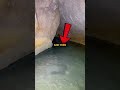 these guys heard rumours of the Chicago underground tunnels