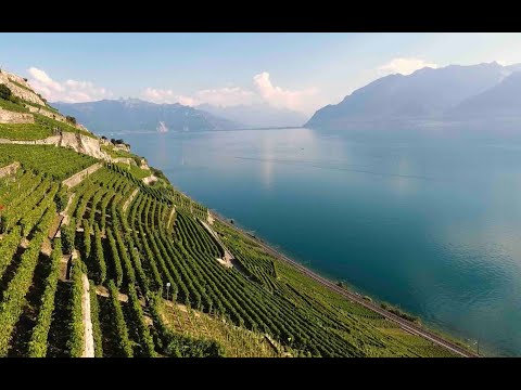 SUISSE - Le Canton de Vaud, une nature secrète et préservée