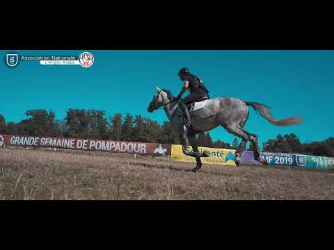 L'Association Nationale Anglo-Arabe - ANAA