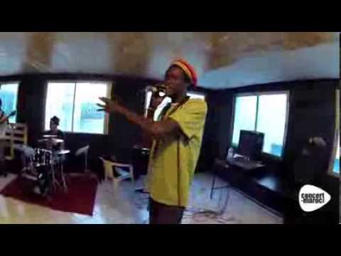 Incursion dans la Tal'Fine Family