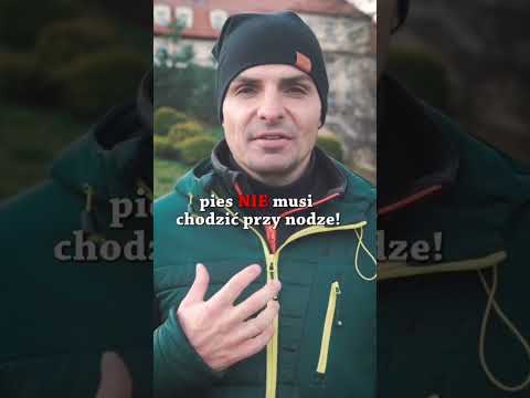 The dog pulls on the leash❓️ #behaviorist #tatar #tatardog #science #guide #krzysztoftatar