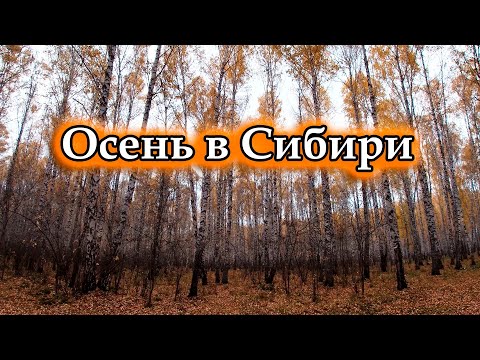 Природа в Сибири Осенью! Красноярский край, Манский район.