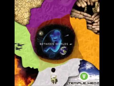 Temple Hedz-123 spin
