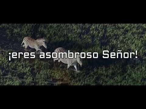 Increible Dios- Letra