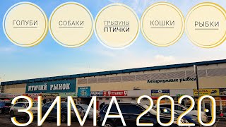 Ссылка