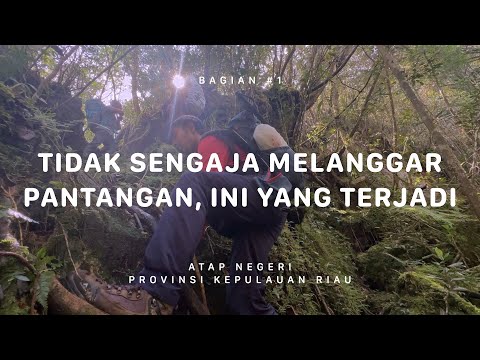 GUNUNG DAIK - SEPINCAN - Atap Negeri Kepulauan Riau #1