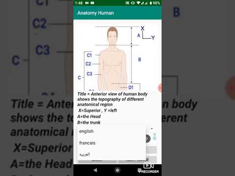 Anatomy Revolute