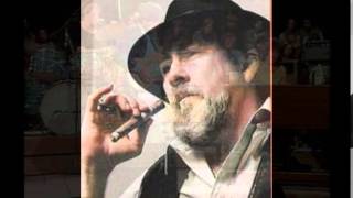 Roy Buchanan ~ ''Green Onions'' (Electric Blues 1977)