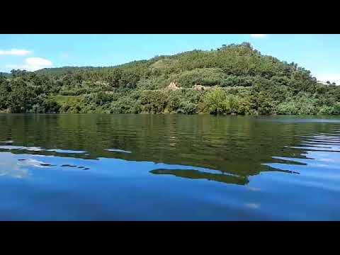 Procesión de San Roque en Castrelo de Miño