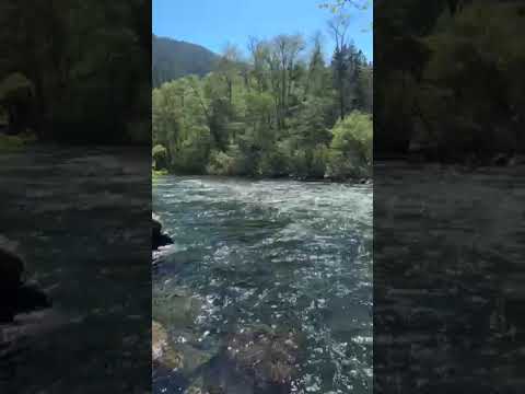 the river nearby