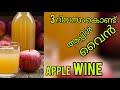 3 ദിവസംകൊണ്ട് ആപ്പിൾ വൈൻ HOMEMADE APPLE WINE WINE വൈൻ 
