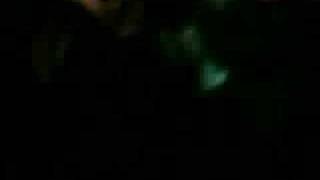 Roses Are Red "These Days" (Live)