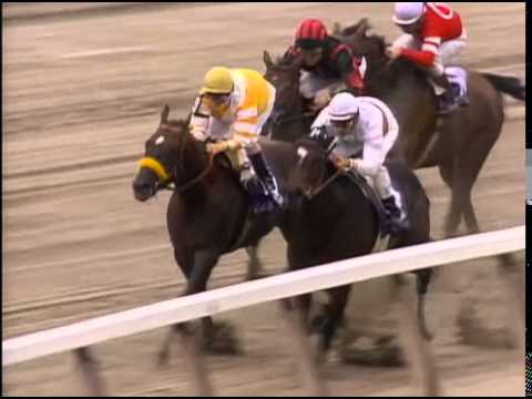 Desert Stormer, abuela del padrillo Sahara Heat (Ap.Indy) ganando la Breeder´s Cup Sprint 1995