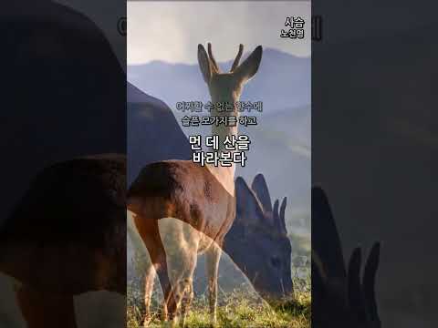 사슴 (The Deer) — 노천명
