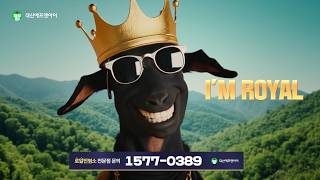 TV 광고영상 다운로드