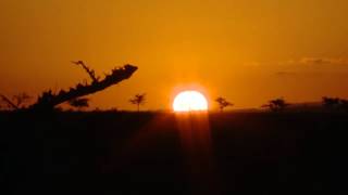 Basecamp Wilderness Camp | Masai Mara Safari