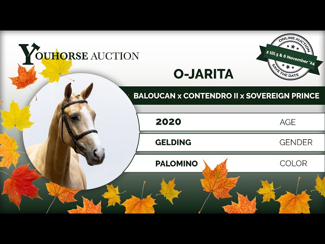 O-Jarita