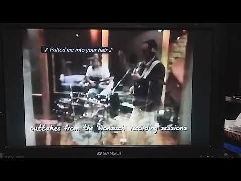 XTC -Andy Partridge- Robert Smith, Morrissey and Bob Dylan impressions