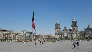 My Mexico City Adventure