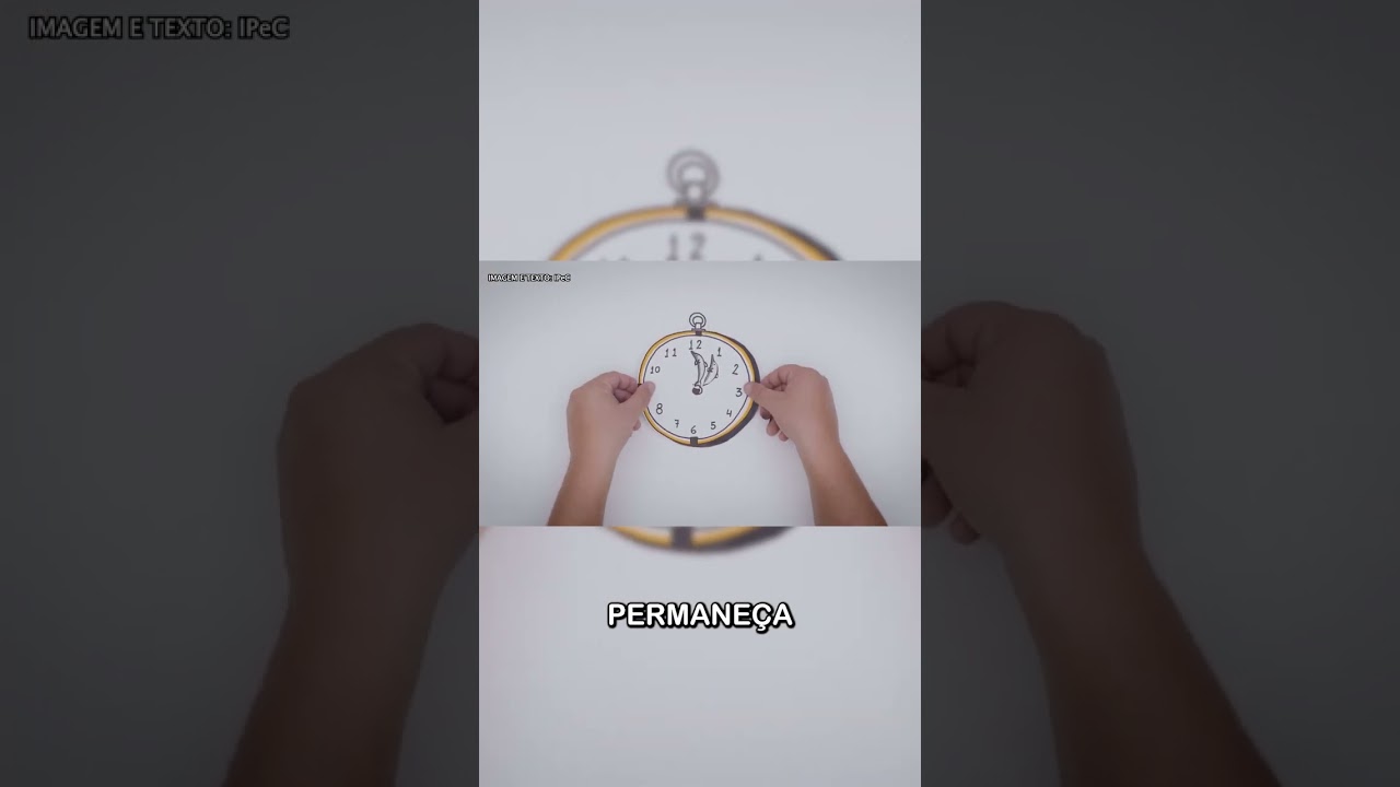 Você sabe o que fazer caso encontre com um golfinho?