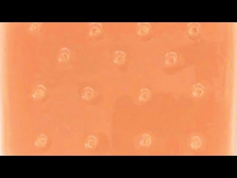 這個玩具是噁心的。-- LÜT (This Toy Is Disgusting. -- LÜT)