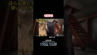 レスポールのペグが壊れてギター工房へ行った話【猫ミーム】#猫ミーム #猫ミーム日常#shorts#short #ギター#guitar