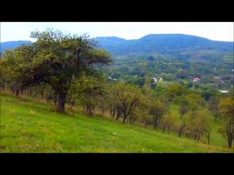 Discovery Aricestii Zeletin [I]