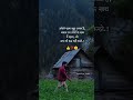 अकेला रहना Truelove Trueline Whatsaap Status Sad Status Explore Shorts Love