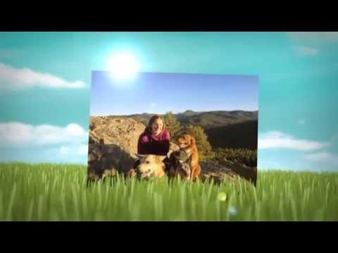 Recovery Journey