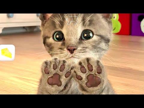 SUPER SPECIAL LITTLE KITTEN ADVENTURE - LONG STORY OF A LITTLE KITTEN CARTOON FOR KIDS JOURNEY
