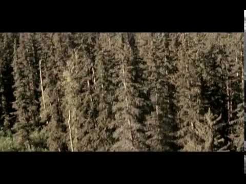 History of the O & C-Saving Oregons Future - Customer Success Story