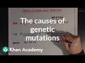 The Causes Of Genetic Mutations Biomolecules MCAT Khan Academy