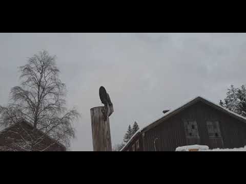 Allis knackande motor 1 av 2