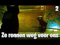 De Mensen zijn bang voor ons! | Stray #2