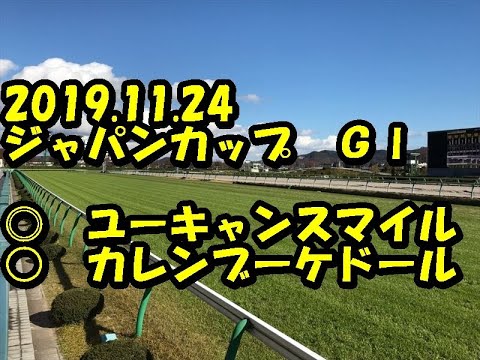【競馬予想】2019.11.24　東京１１Ｒ　ジャパンカップ　ＧⅠ