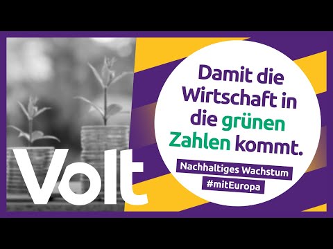 So kommt die Wirtschaft in die Grünen Zahlen | Volt-Programm erklärt