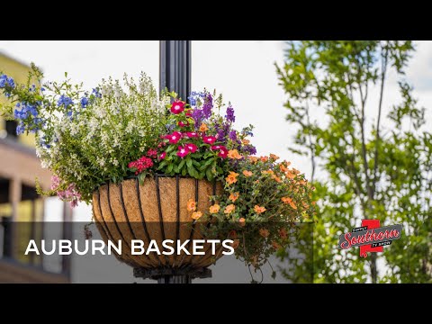 Show 904B Auburn Floral Baskets