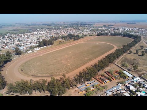 REUNIÓN Nª4 CARRERAS EN VIVO