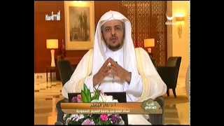 صورة الحلقة 13 من برنامج قصة صحابي حذيفة بن اليمان رضي الله عنه