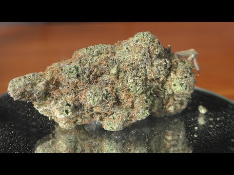 download lagu mp3 mp4 Nyc Diesel, download lagu Nyc Diesel gratis, unduh video klip Nyc Diesel