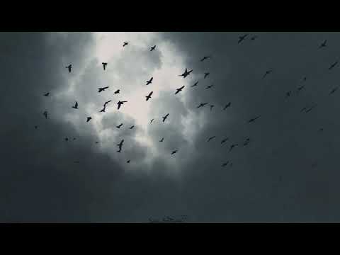 WANGSAP ft NO1 - Sararara (REMIX) prod by @wispz