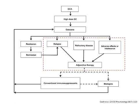 Dr Fiona Coath  - PMRGCAuk  - How southend led the battle for TCZ in GCA