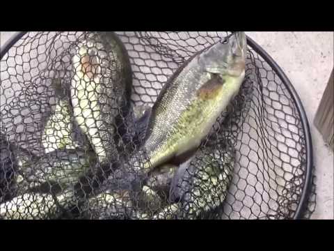 Crappie Bait Comparison - Gulp Minnow vs Rapala