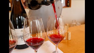 Le vin neuchâtelois prend sa revanche Video Preview Image