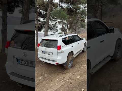 Bone stock Toyota Land Cruiser Prado 150 on 33inch tires #toyota #prado #lc150