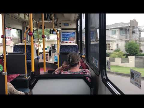 Transit Systems Sydney 2420 ST - Scania K280UB (ZF Ecomat)